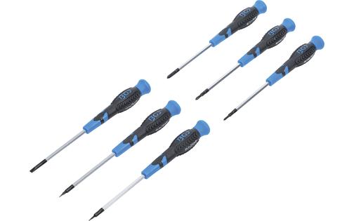 Precision Screwdriver Set BGS 6 pcs.