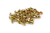 Fairing Screw Set (50 pcs.), 20x M5x20mm / 10x M5x10mm / 10x M4x20mm / 10x M4x16mm