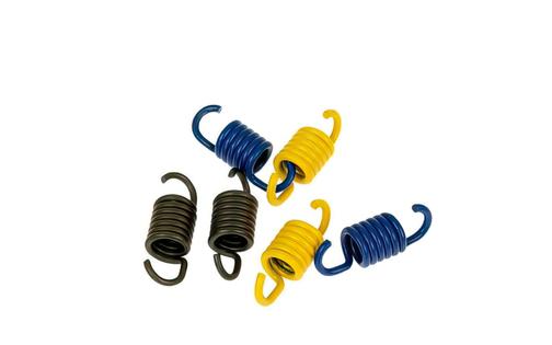 Clutch Springs Polini d=105mm