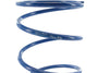 Torque Spring + Evo Slider Polini Piaggio
