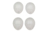 Indicator Lens Set Peugeot Ludix / TKR Furious / XP6