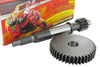 Primary Gears Malossi 13/43 Peugeot Speedfight 3