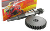 Primary Gears Malossi 13/43 Peugeot Speedfight 3