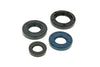Oil Seal Kit PGO new