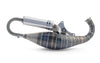 Exhaust 2Fast FL100 for Malossi C-One / RC-One crankcase