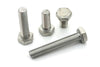 Screw Set hex cap M5x10 galvanized (x100)