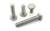 Screw Set hex cap M5x10 galvanized (x100)