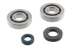 Crankshaft Bearings and Oil Seals PGO Big Max