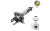 Halogen Bulb headlight Flosser 12V - 35/35W - PX43T - HS1