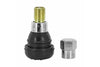 Tire Valve tubeless straight TR412 - 33mm grey