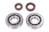 Crankshaft Bearings HD and Oil Seals FKM Naraku Kymco / SYM vertical (GR1)