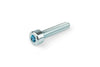 Screw M5x25 mm