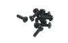 Phillips Screw M6x20 black (x10)