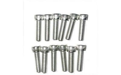 Hex Socket Screw M8x30 galvanized (x12)