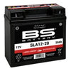 Battery SLA BS Battery 12-20 12V - 20Ah
