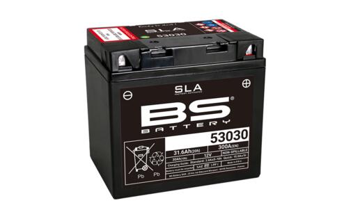 Battery SLA BS Battery 12V - 31,6Ah
