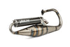 Exhaust Yasuni Z Peugeot vertical Carbon