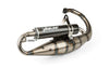 Exhaust Yasuni R Minarelli vertical carbon look