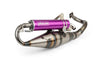 Exhaust Yasuni R-Pro Piaggio Purple