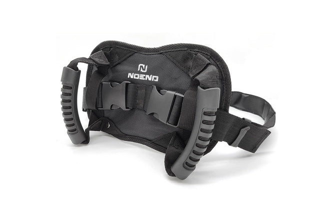 Passenger Safety Belt